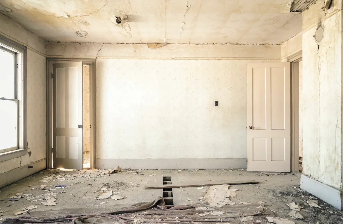 Waste disposal crew managing a cleanout project in Wilkins